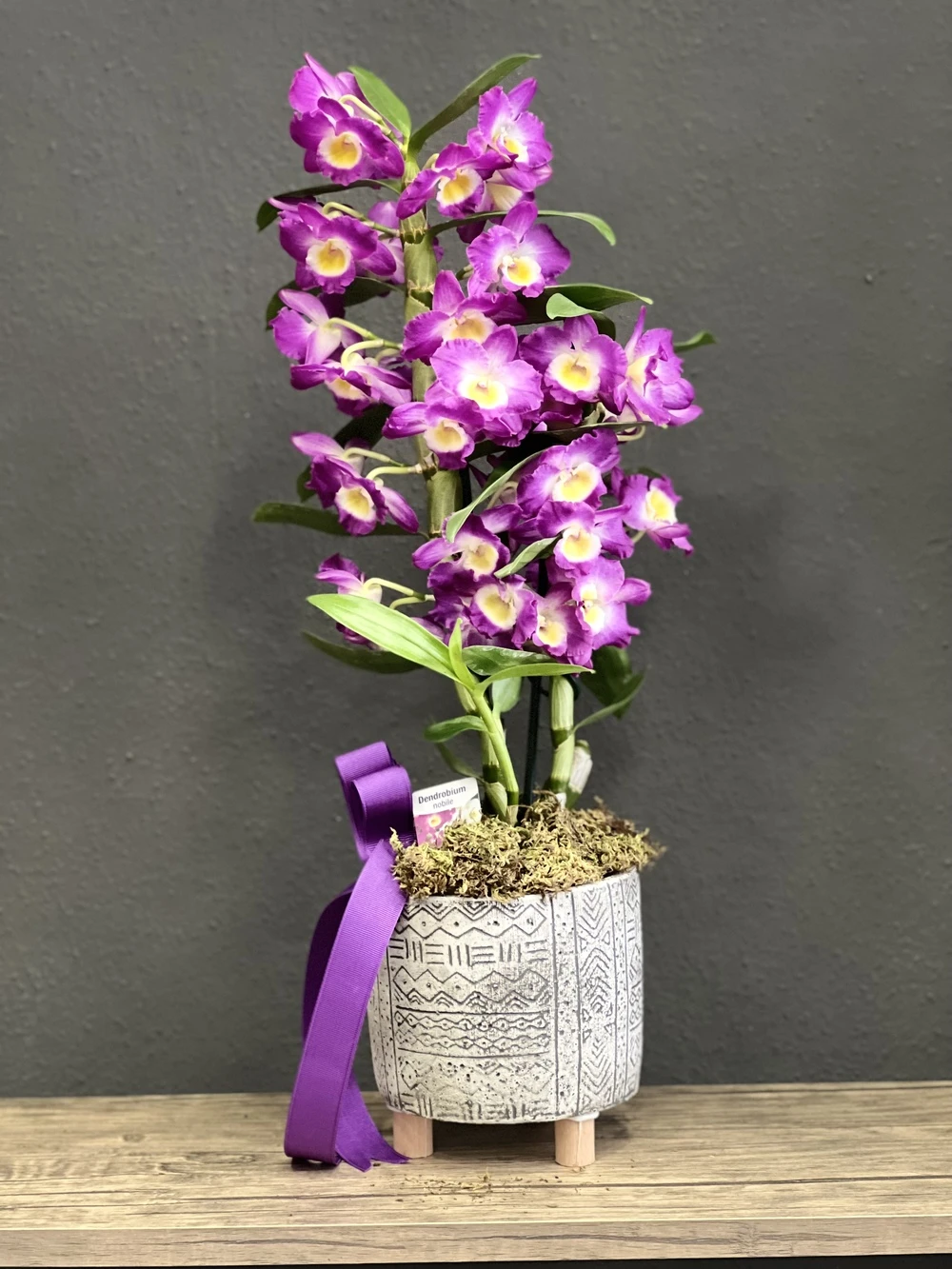 Dendrobium Orkide